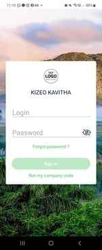 enter login and password
