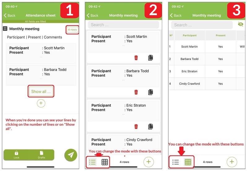 In order to visualize your entered data, two display modes are offered to you