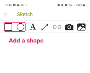 sketch field options